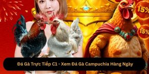 Đá Gà Trực Tiếp C1 - Xem Đá Gà Campuchia Hàng Ngày